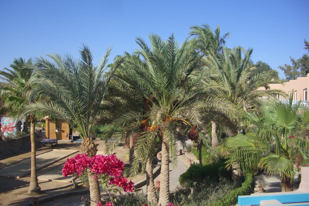 Balkonblick Club Paradisio El Gouna, Red Sea