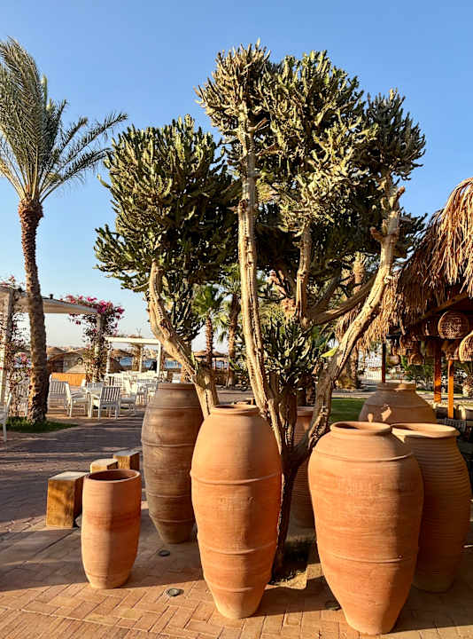 Außenansicht Fort Arabesque - The West Bay