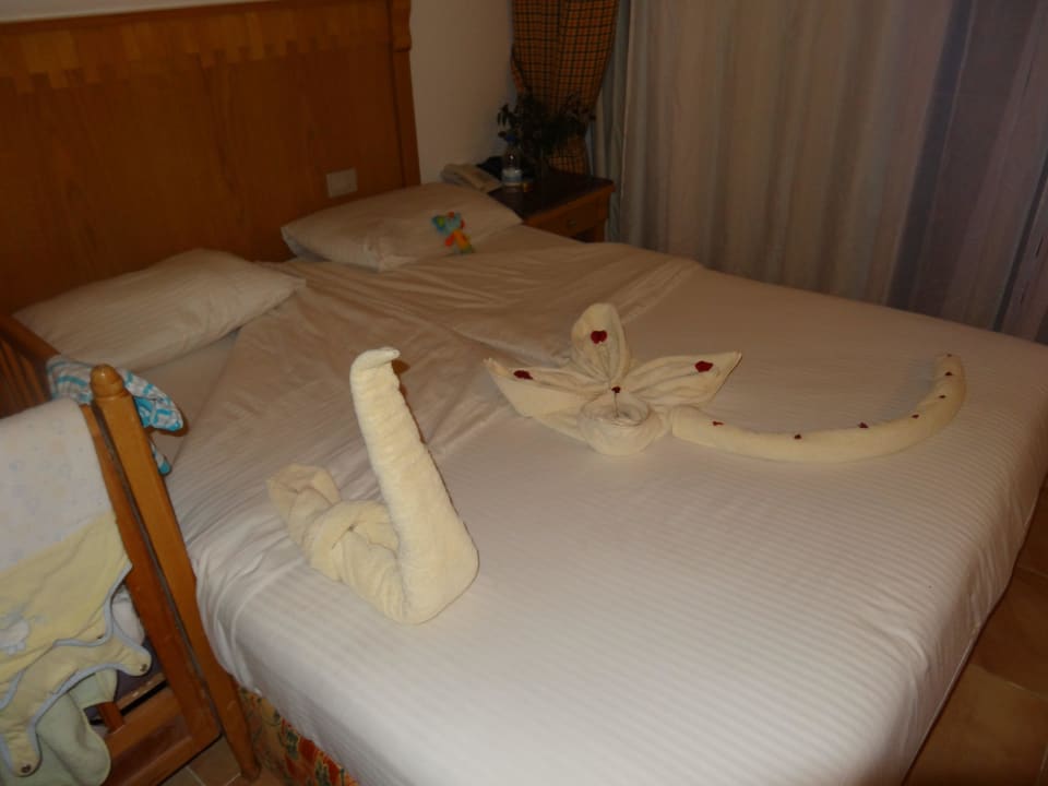 Jeden Tag eine neue Figur Beach Albatros Resort
