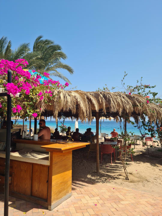 Gastro Fort Arabesque Resort, Spa & Villas