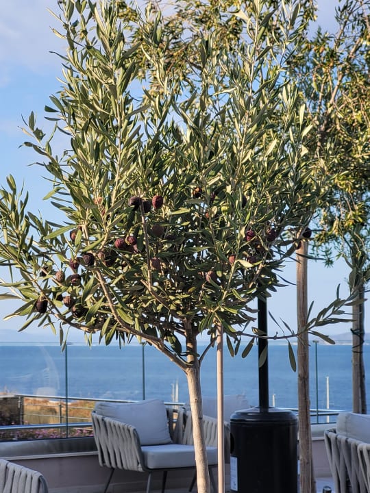 Sonstiges Miraggio Thermal Spa Resort