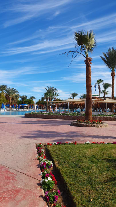 Gartenanlage Desert Rose