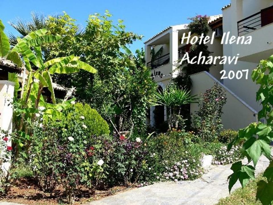 Hotel Ilena Acharavi Hotel Ilena