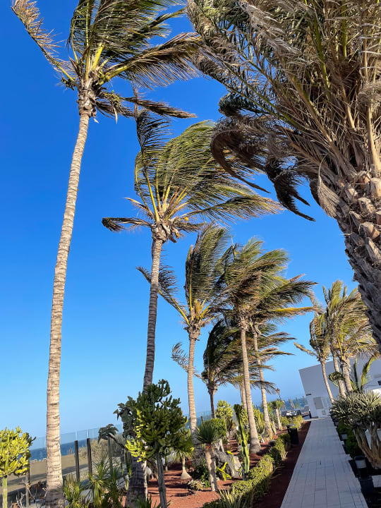 Gartenanlage Hotel Las Costas