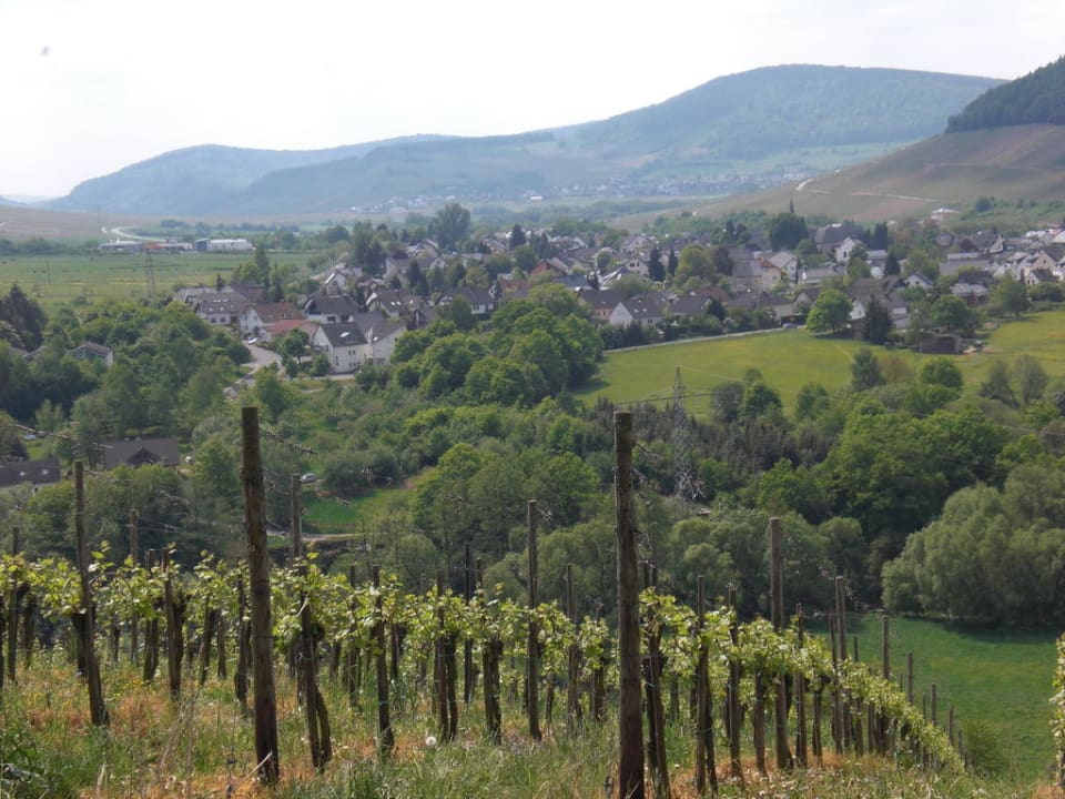Landschaft Pension Elfi