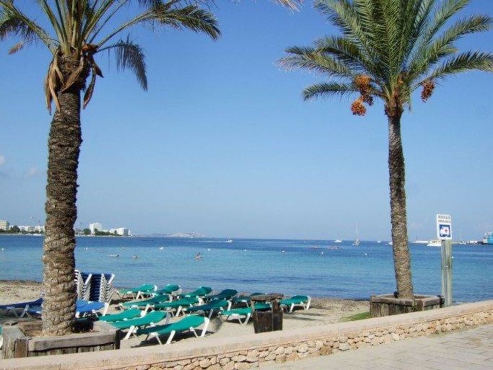 Strand mit Liegen Hotel Osiris