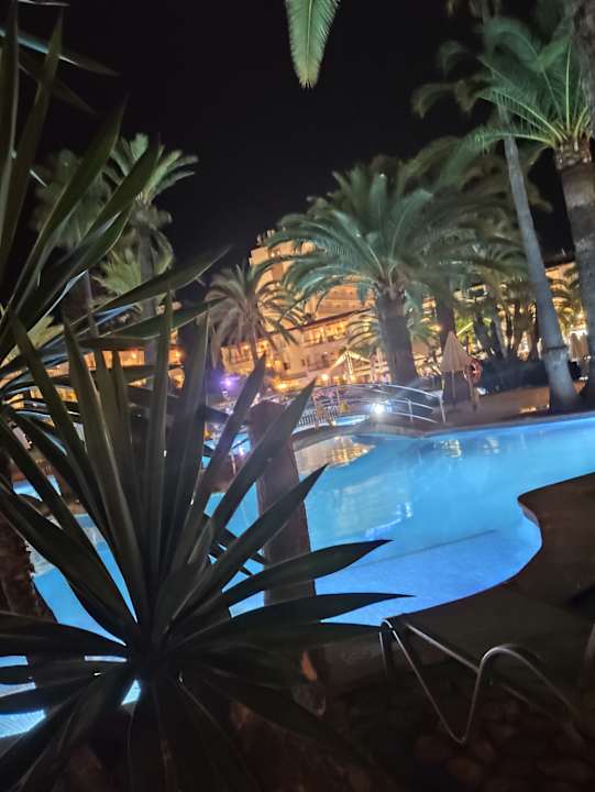 Pool Alcudia Garden Aparthotel