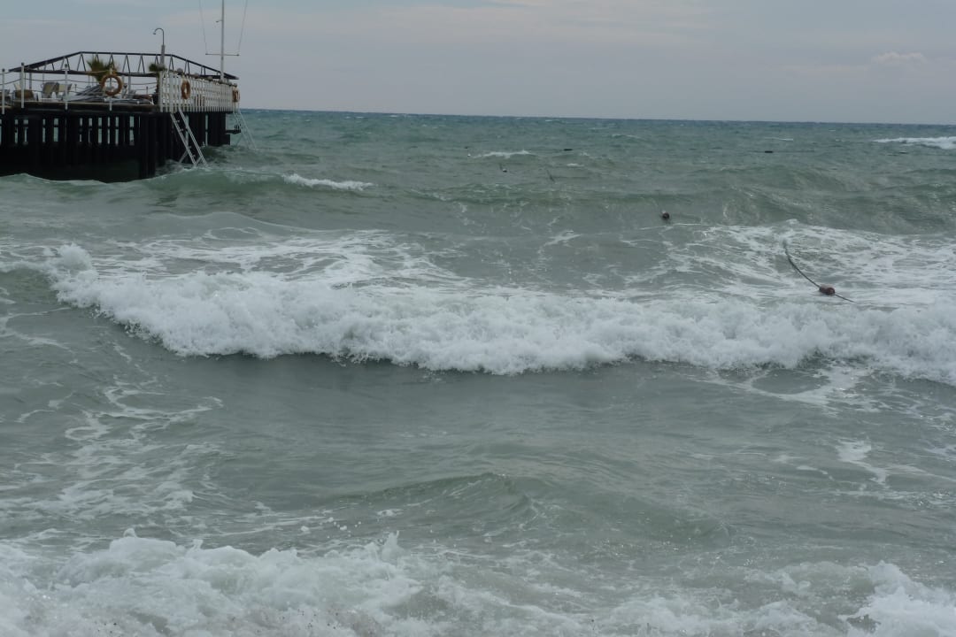 Strand Royal Seginus