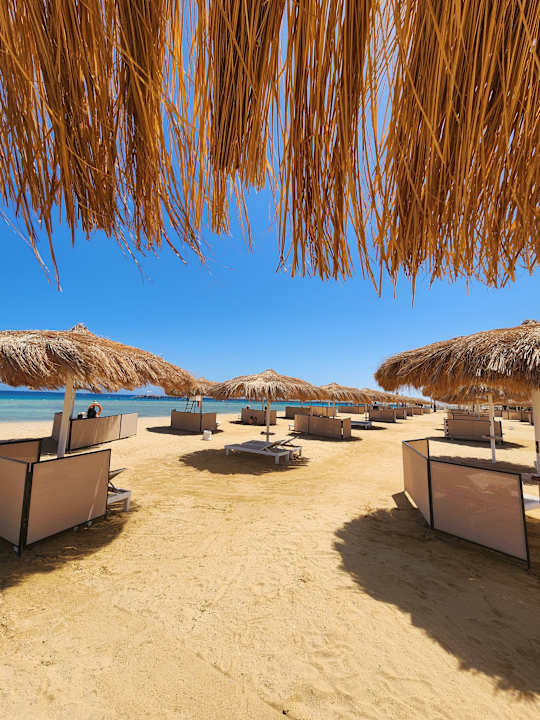 Lobby SUNRISE Anjum Resort Marsa Alam