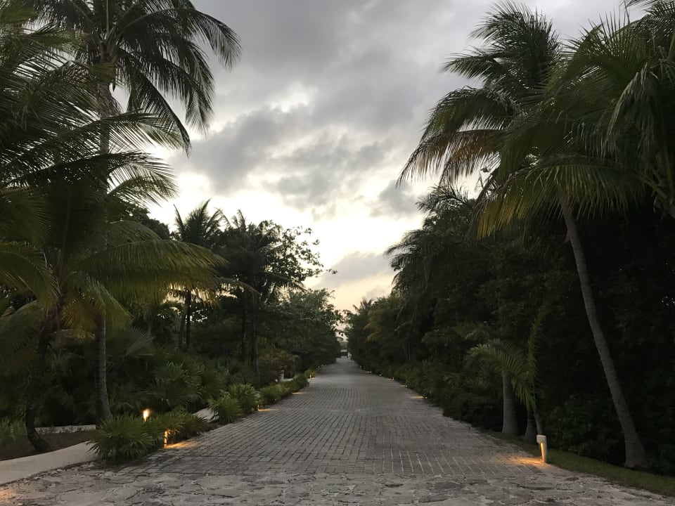 Gartenanlage Akumal Bay Beach & Wellness Resort