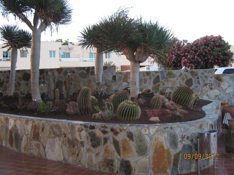 Vor dem Eingang Club Hotel Drago Park