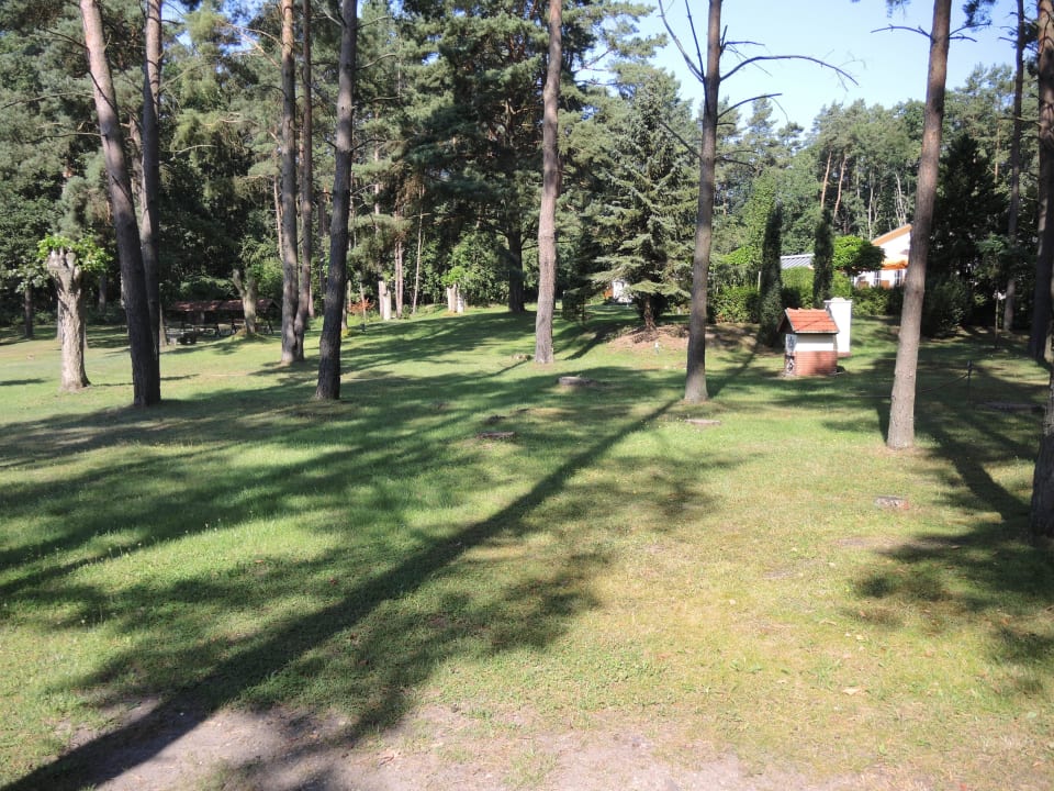 Gartenimpression Inselhotel Brückentinsee