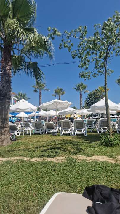 Gartenanlage Dream World Aqua Hotel