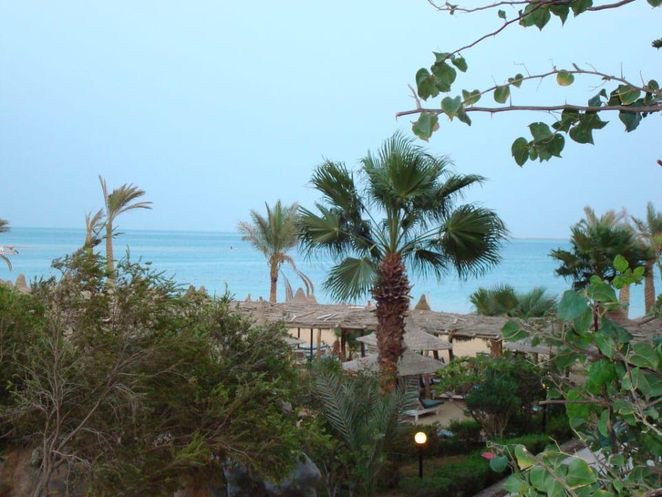 Widok z pokoju Giftun Azur Resort