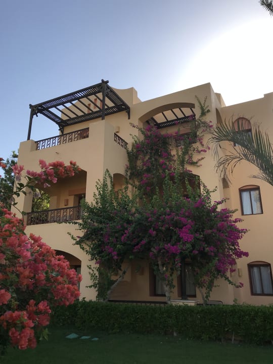 Gartenanlage Steigenberger Coraya Beach - Adults only