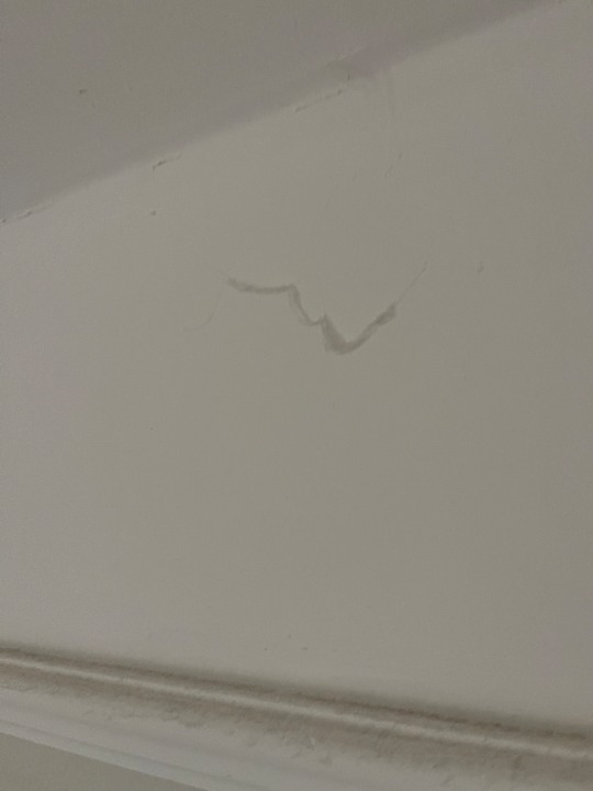 Zimmer Calimera Serra Palace