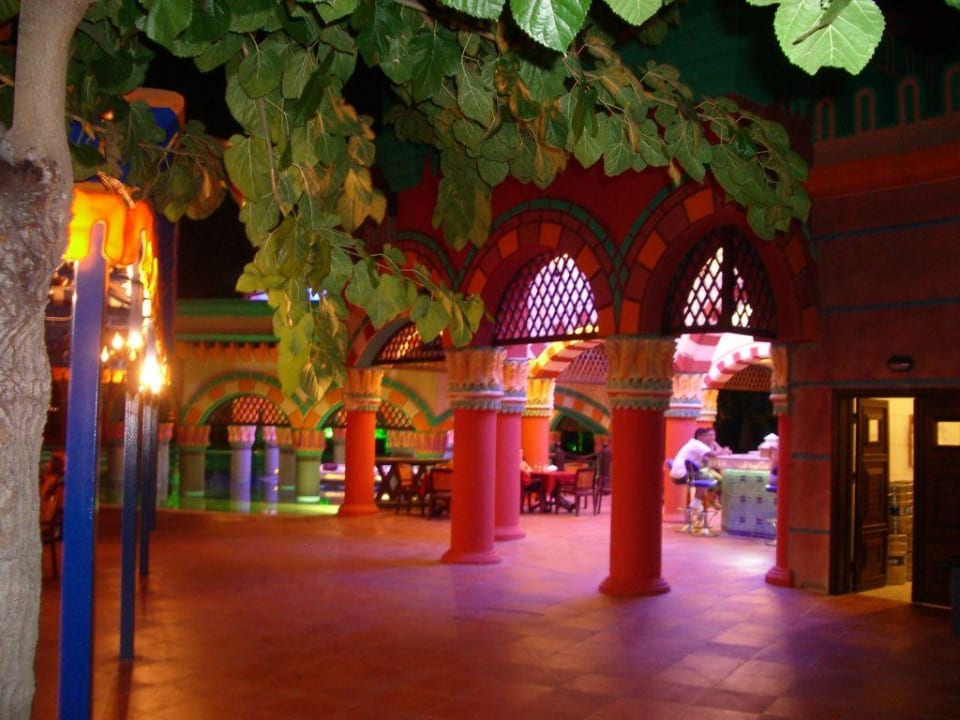 Kamelya Kamelya Aishen Club