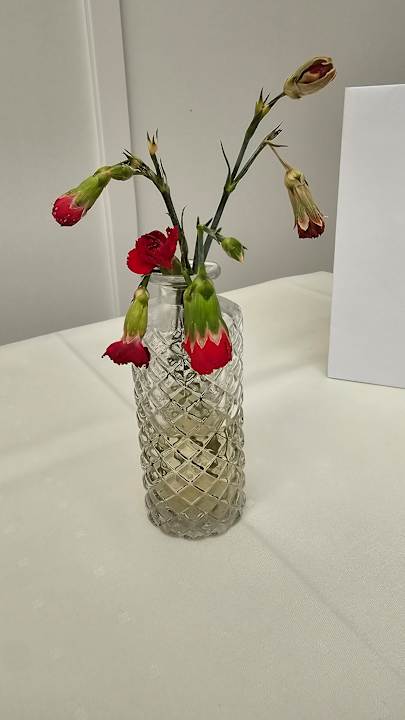 Gastro Hotel Zur Heidschnucke