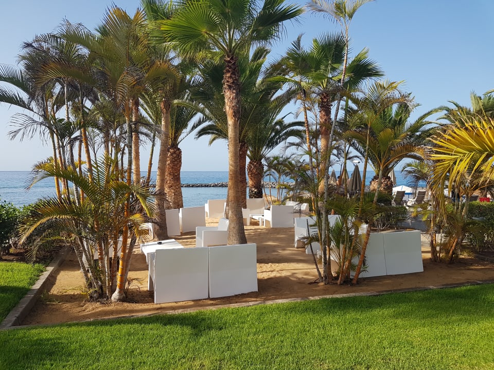Gartenanlage Hotel Riu Palace Tenerife