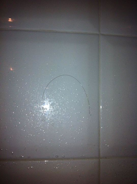 Schwarzes Haar am Ankunftstag in der Dusche Country House Bosco Lazzeroni