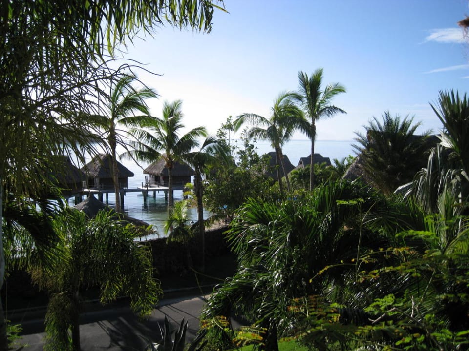 Mit Blick zur Straße Hotel Le Maitai Polynesia