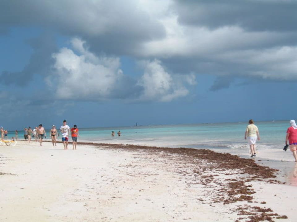 Strand! War nicht immer sauber! Vik Hotel Arena Blanca & Cayena Beach