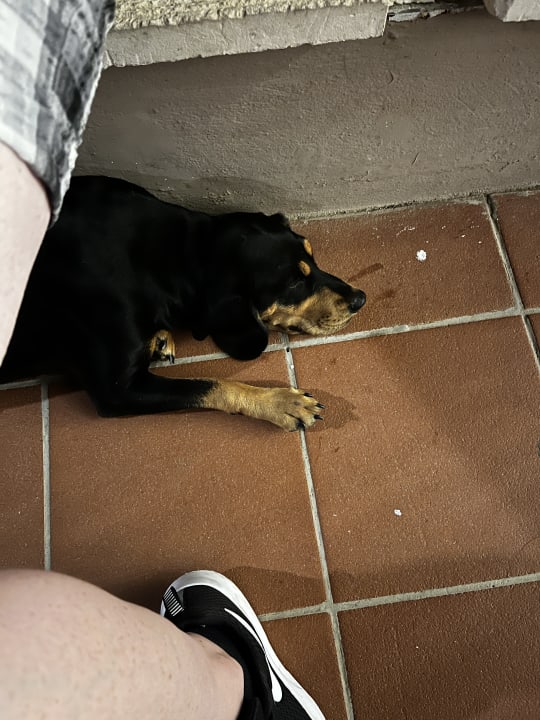 Sonstiges Salamis Bay Conti Resort Hotel & Casino