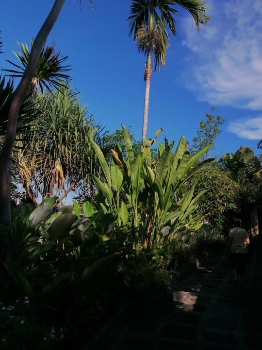 Gartenanlage The Lovina