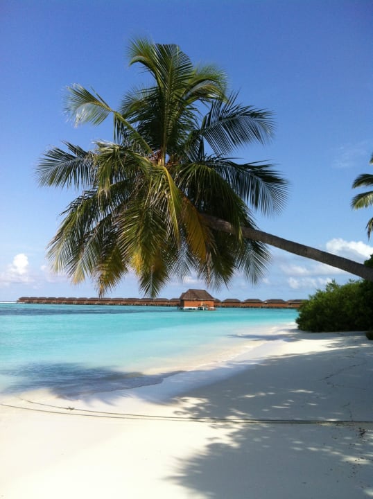 Strand Meeru Maldives Resort Island