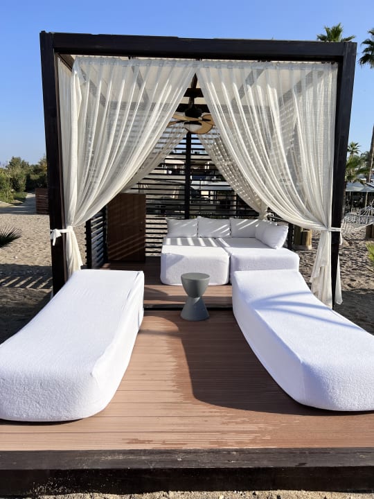 Zimmer TUI BLUE Palm Garden