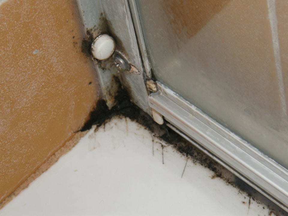 Schimmelwucher in der Dusche Hotel Seven Stars