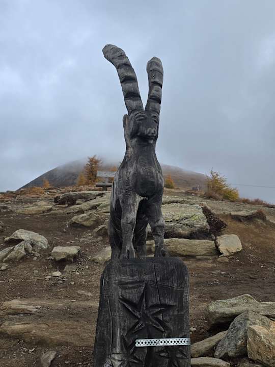 Sonstiges Molaris Lodge