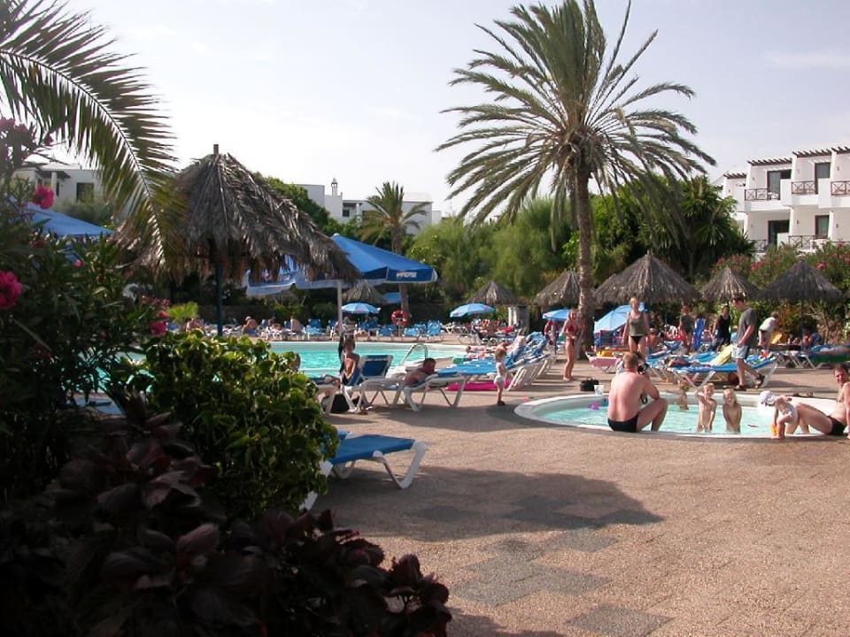 einer von drei Pools allsun App.-Hotel Albatros