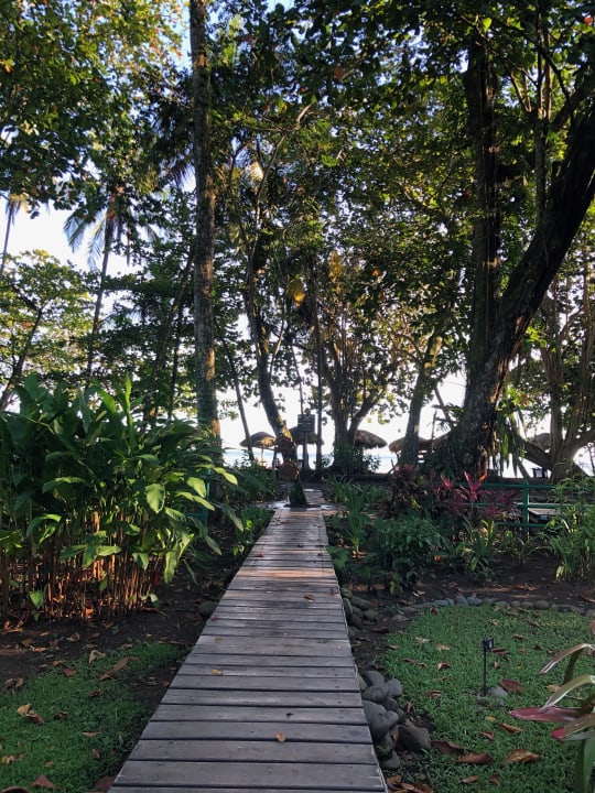 Garten Hotel Banana Azul