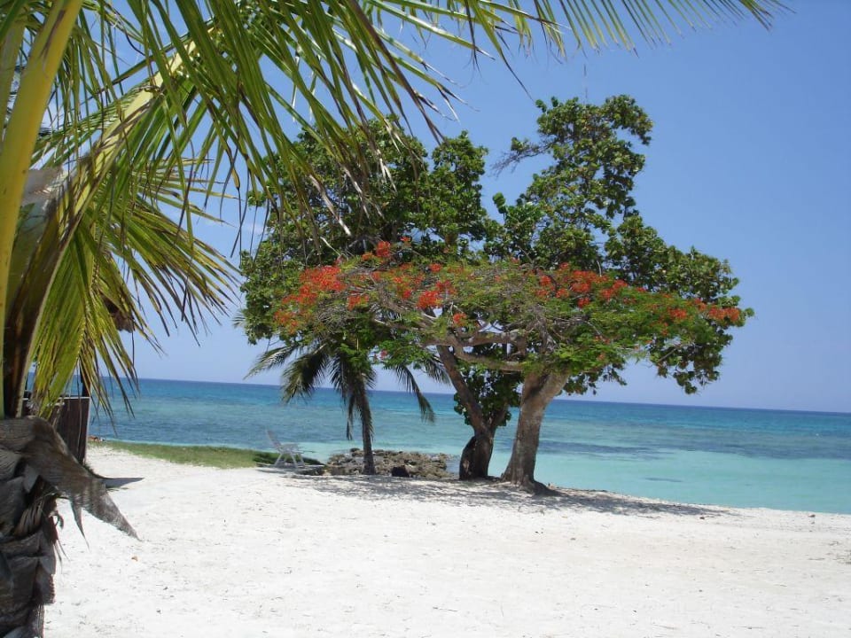 Strand Brisas Guardalavaca Hotel & Villas