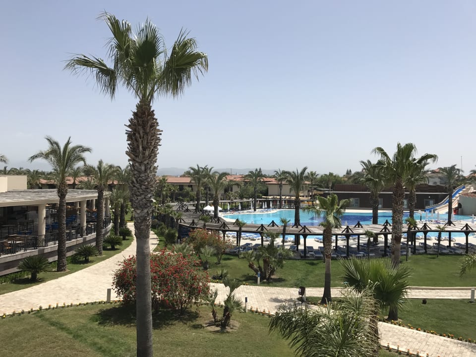 Pool TUI BLUE Palm Garden