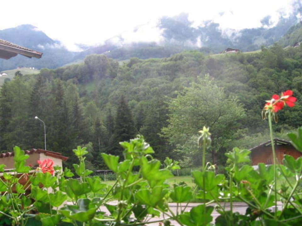 Blick vom Balkon Hotel Ortlerhof