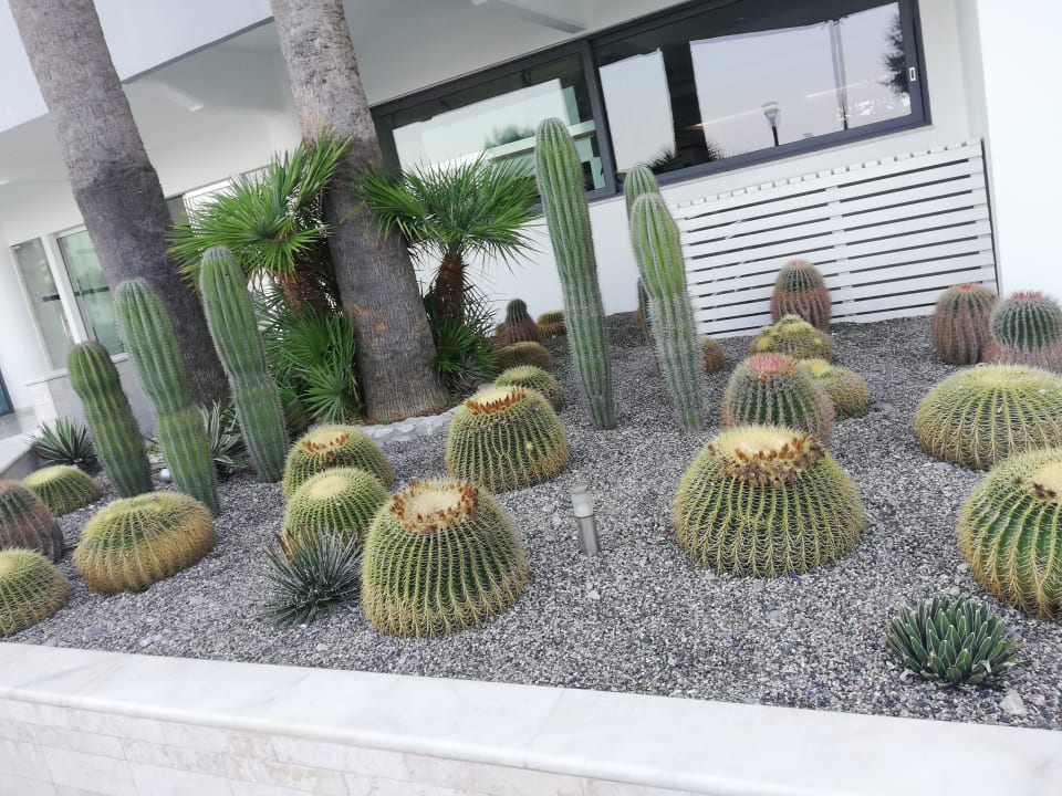 Gartenanlage Rhodos Horizon Resort