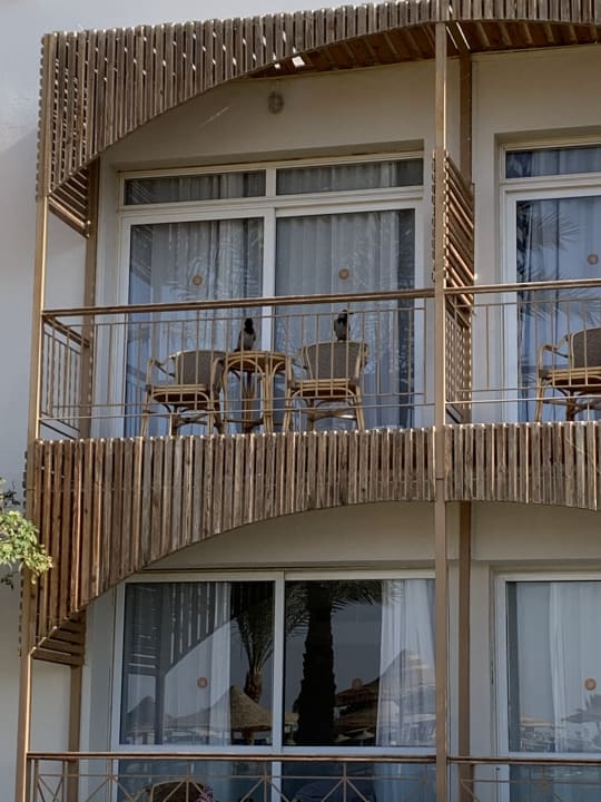 Außenansicht Desert Rose