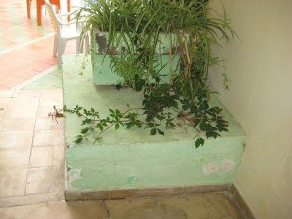 Farbe blättert ab Hotel Houria Palace