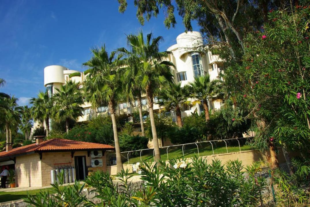 Im November Barut Hemera