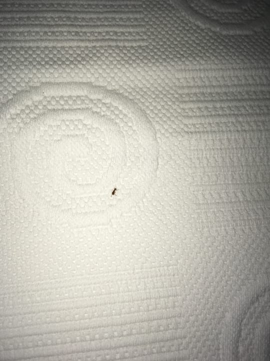 Zimmer Limak Lara Deluxe Hotel & Resort