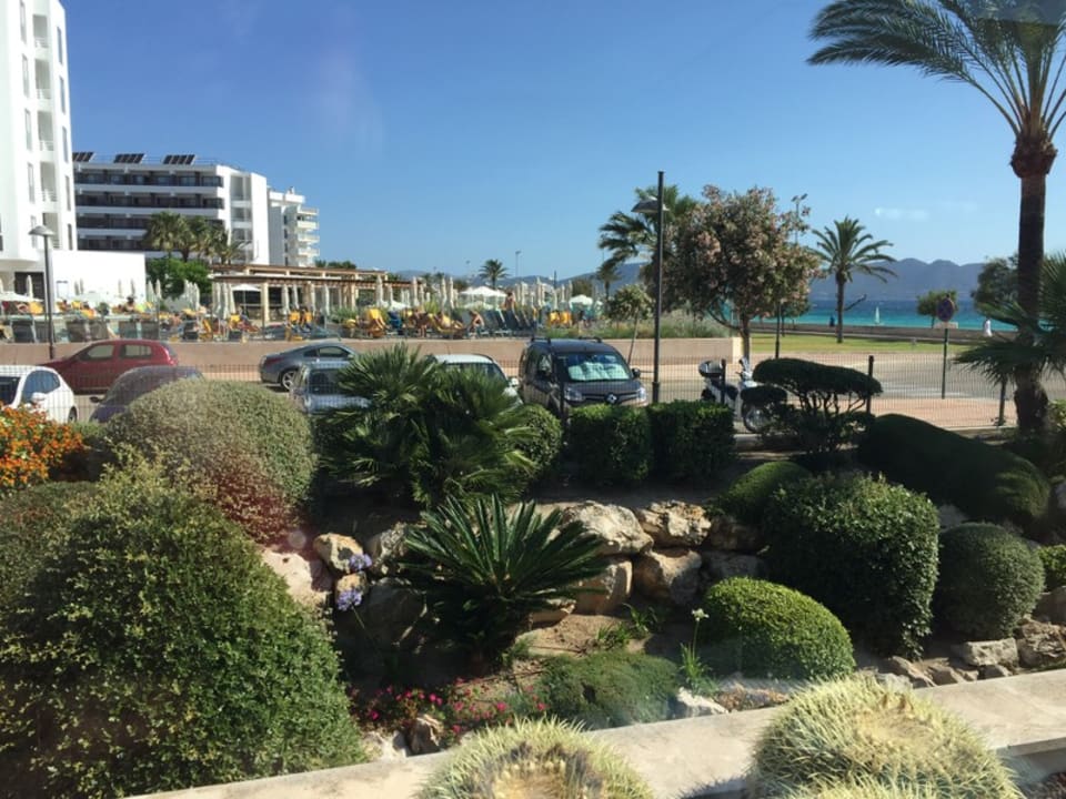 Gartenanlage Hipotels Hipocampo Playa