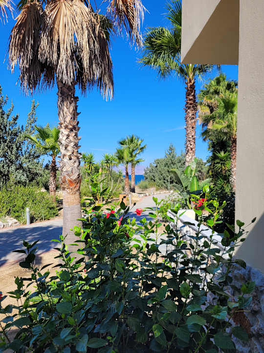 Sonstiges Achilleas Beach Adults Only