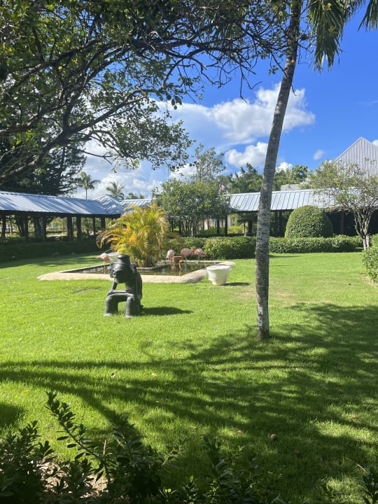 Gartenanlage Secrets La Romana Resort & Spa - Adult Only