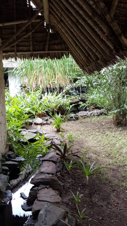 Gartenanlage Hotel Southern Palms Beach Resort