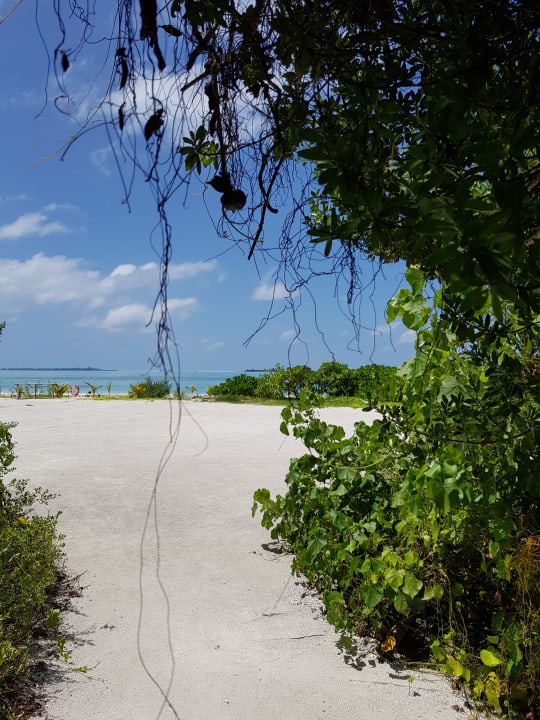 Gartenanlage Cinnamon Hakuraa Huraa Maldives