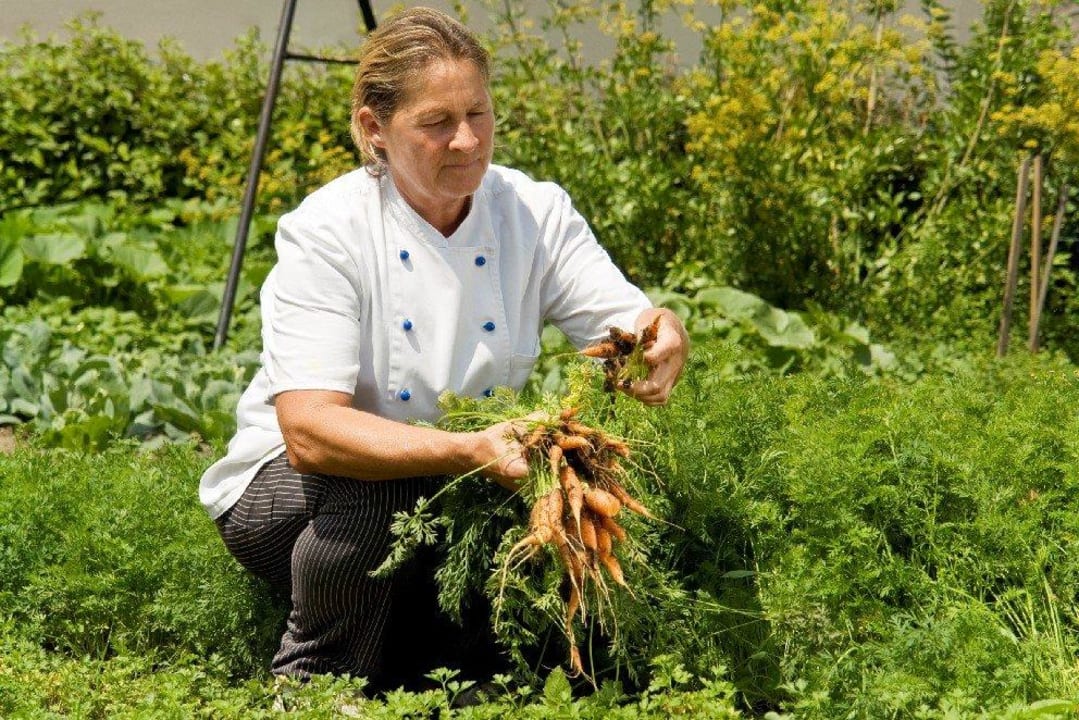 "Im Gemüsegarten" Dorfhotel Grüner Baum (Maria Laach am Jauerling