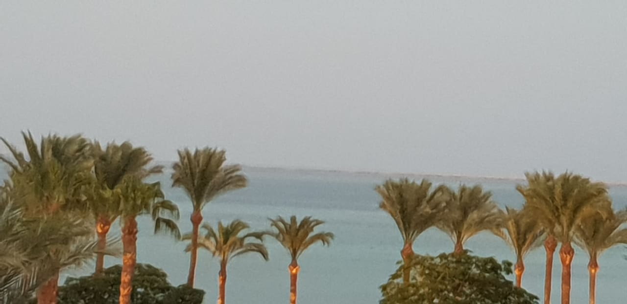Ausblick Continental Hotel Hurghada