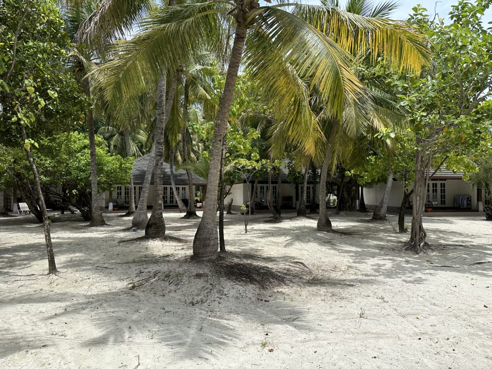 Zimmer Adaaran Select Meedhupparu Island Resort - Premium All Inclusive